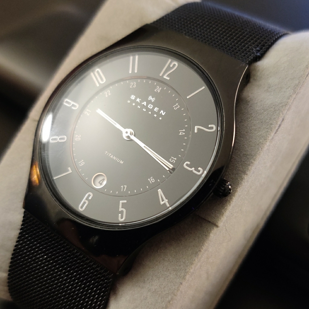 Skagen Grenen Steel Mesh and Titanium Case